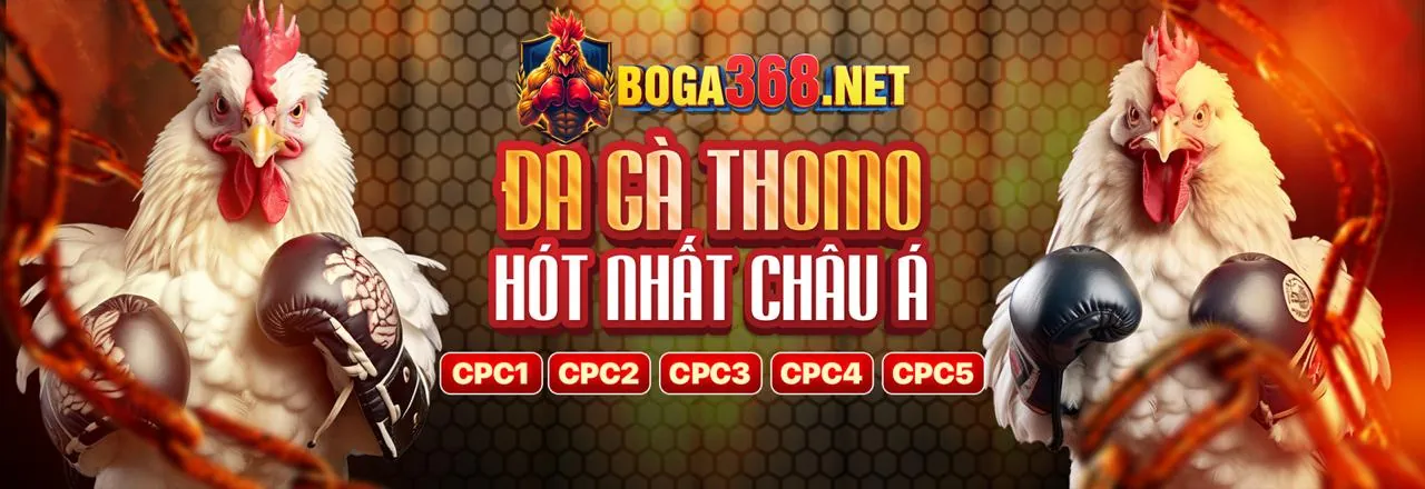 Tổng quan nền tảng cá cược 22bet với các sản phẩm thể thao và casino